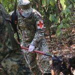 Macacos caem mortos das árvores devido ao calor no México