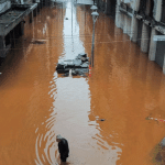 Chuvas no RS: setor produtivo divulga primeiros balanços de prejuízos econômicos da tragédia