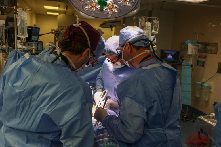 Primeiro paciente a receber rim de porco em transplante morre dois meses após cirurgia nos EUA