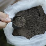‘Fábrica’ de solo: Startup usa de pó de rochas na agricultura como opção a fertilizantes importados e combate às mudanças climáticas